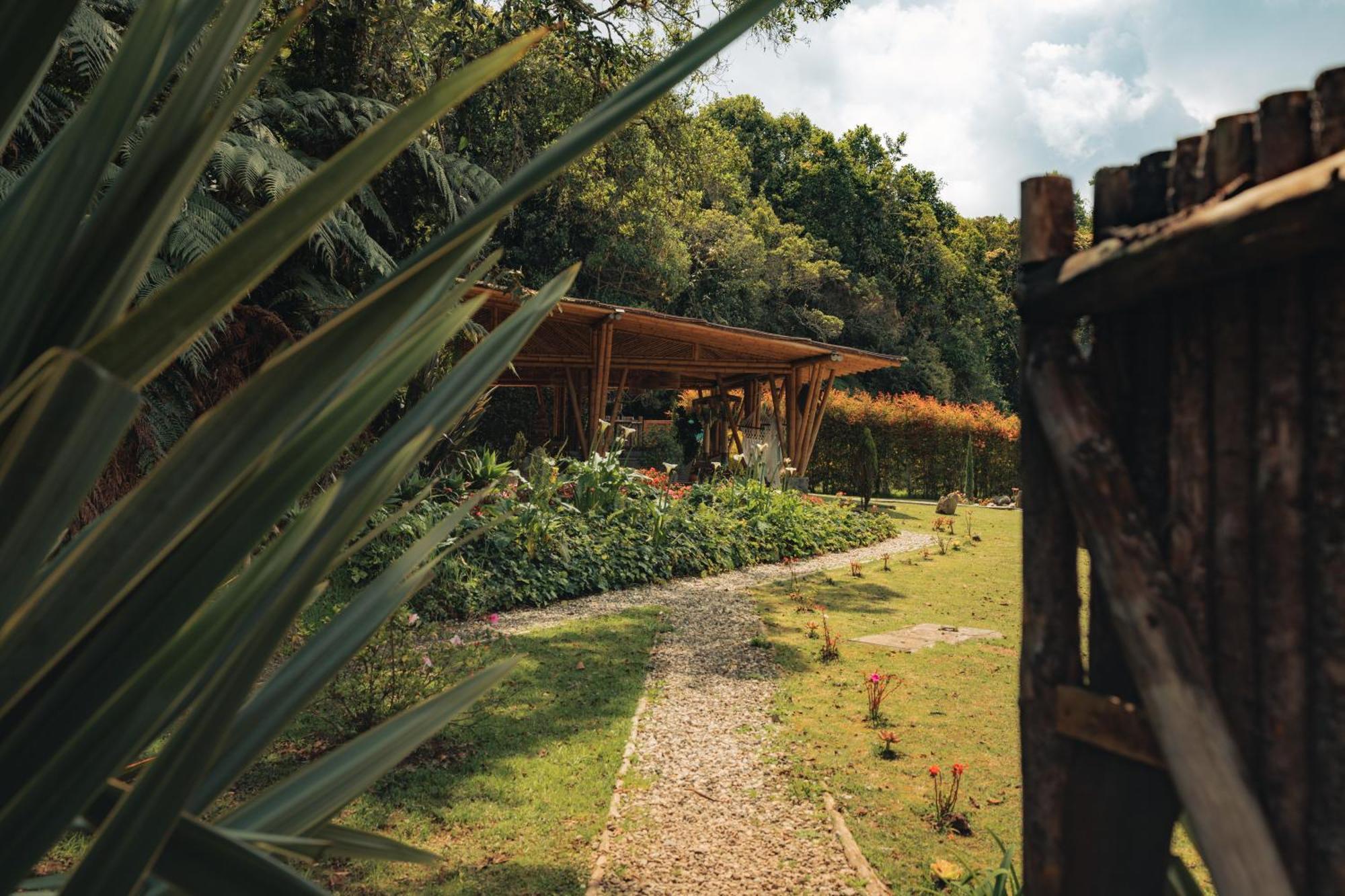 Bubblesky Glamping 15 Min From Medellin Otel Rionegro Dış mekan fotoğraf