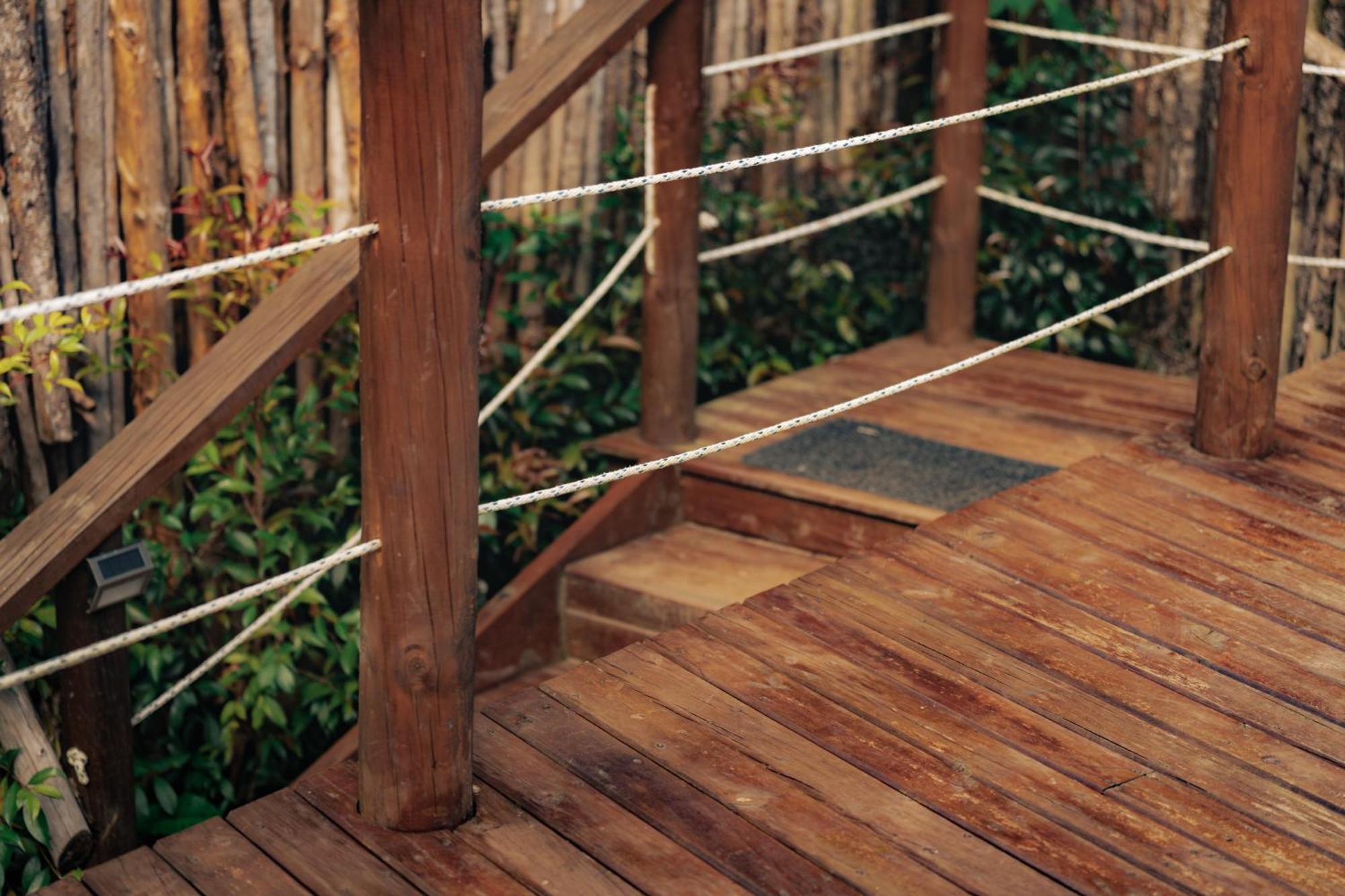 Bubblesky Glamping 15 Min From Medellin Otel Rionegro Dış mekan fotoğraf