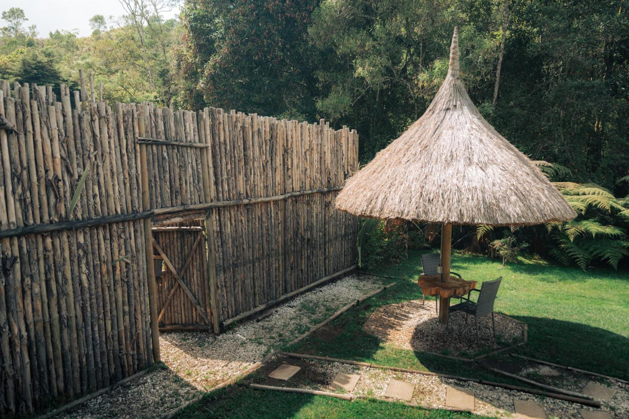 Bubblesky Glamping 15 Min From Medellin Otel Rionegro Dış mekan fotoğraf