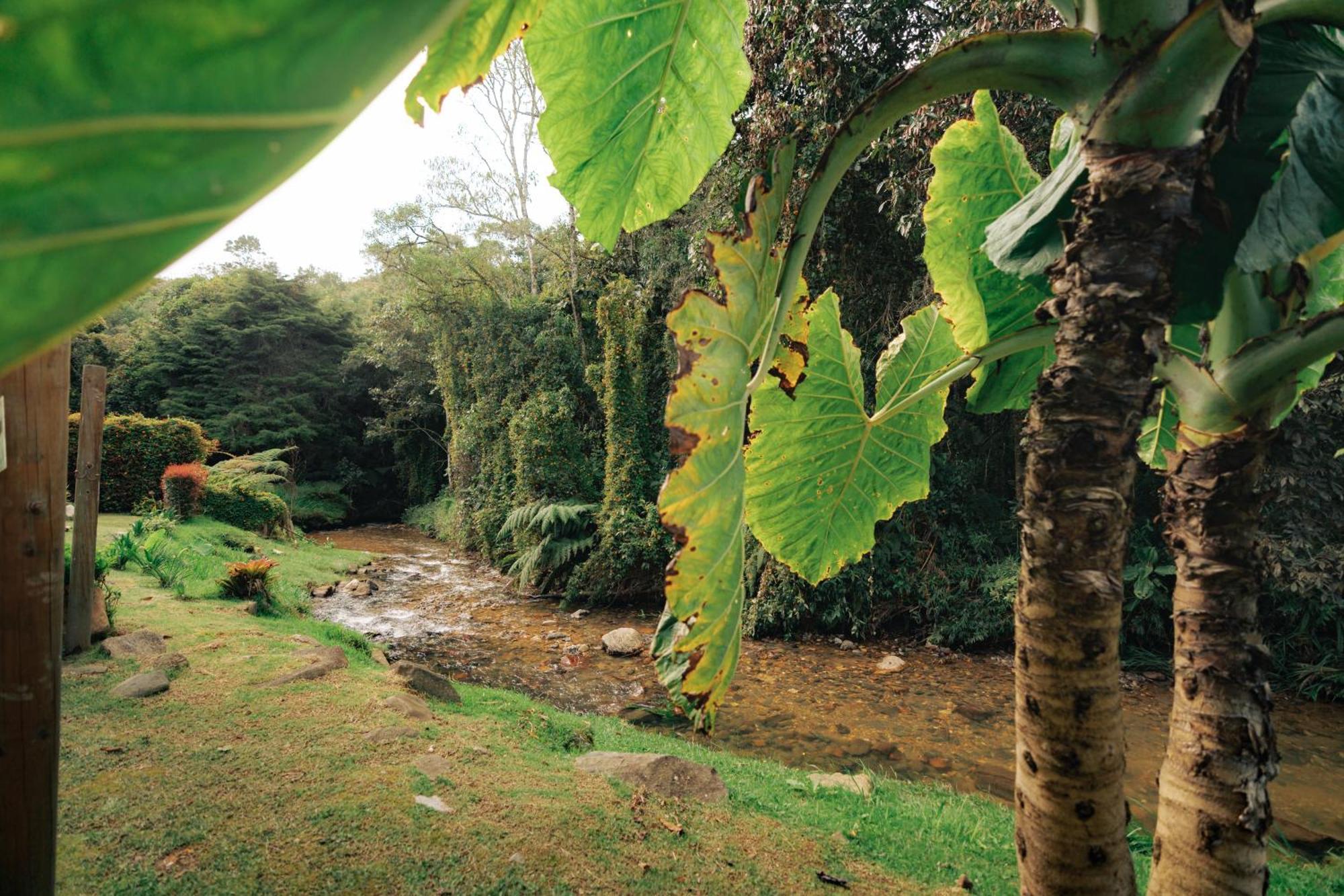 Bubblesky Glamping 15 Min From Medellin Otel Rionegro Dış mekan fotoğraf