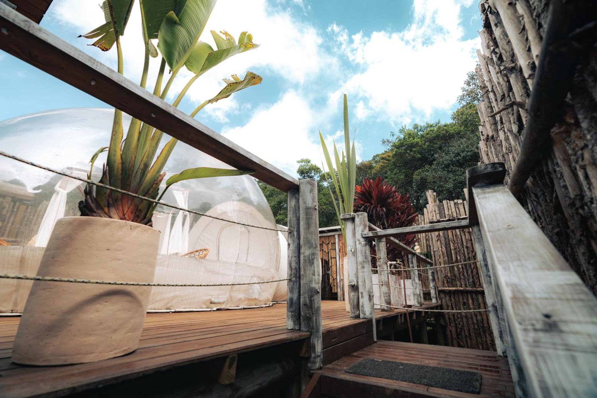 Bubblesky Glamping 15 Min From Medellin Otel Rionegro Dış mekan fotoğraf