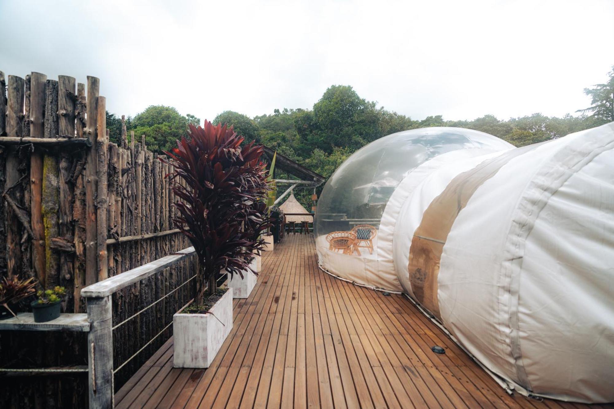 Bubblesky Glamping 15 Min From Medellin Otel Rionegro Dış mekan fotoğraf