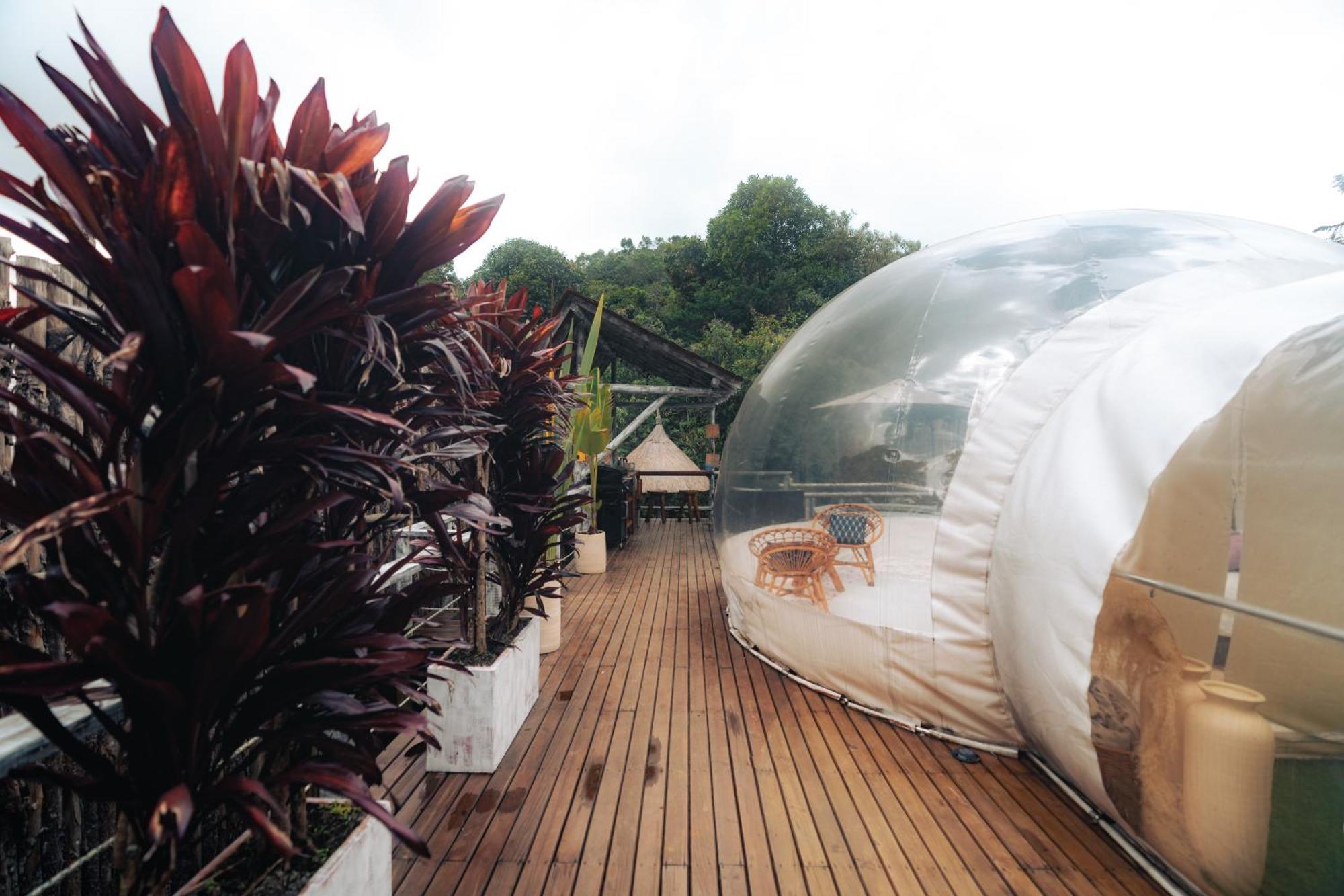 Bubblesky Glamping 15 Min From Medellin Otel Rionegro Dış mekan fotoğraf
